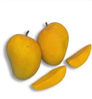 alphanso mango
